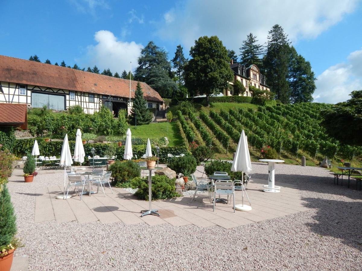 Wein Lodge Durbach - Schlossblick Bagian luar foto