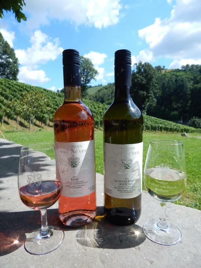 Wein Lodge Durbach - Schlossblick Bagian luar foto