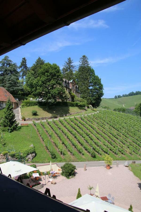 Wein Lodge Durbach - Schlossblick Bagian luar foto